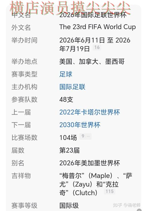 世界杯买球网站解析报告：玩法指南+直播与实际体验总结 - 2026世界杯